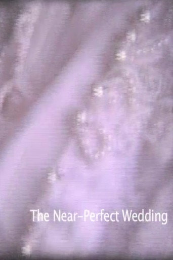 Near-Perfect Wedding movie poster