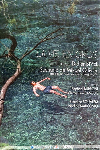La vie en gros movie poster
