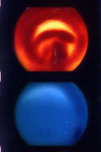 Iris movie poster