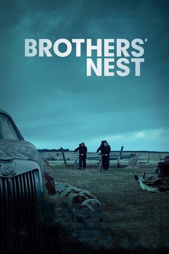 Brothers' Nest movie poster