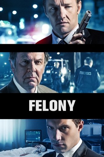 Felony movie poster