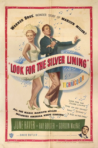 Look for the Silver Lining movie poster