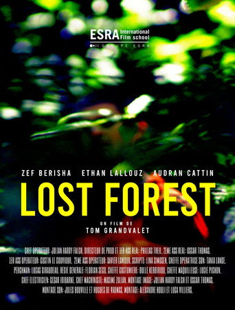 Lost Forest movie poster