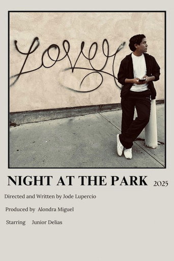 Night at the Park movie poster