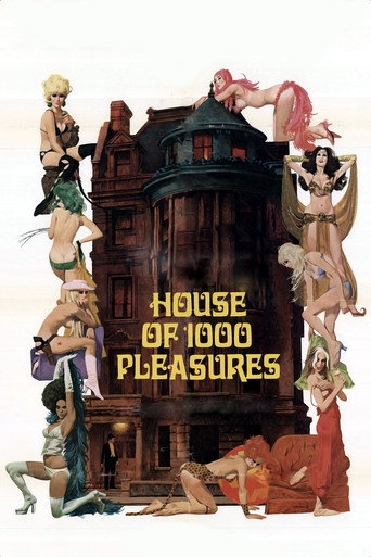 1001 Nights of Pleasure movie poster