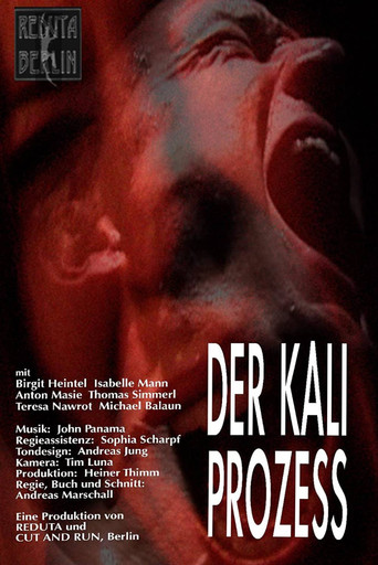 Der Kali Prozess movie poster