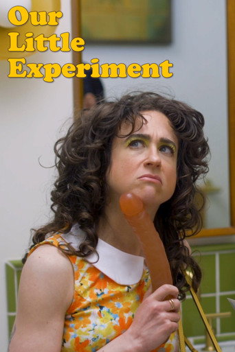 Our Little Experiment movie poster