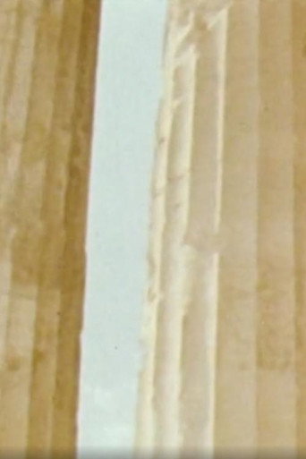 Chronique Atopique movie poster