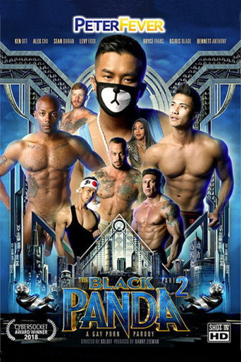 The Black Panda 2 movie poster