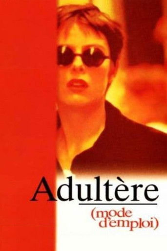 Adultery (A User's Guide) movie poster