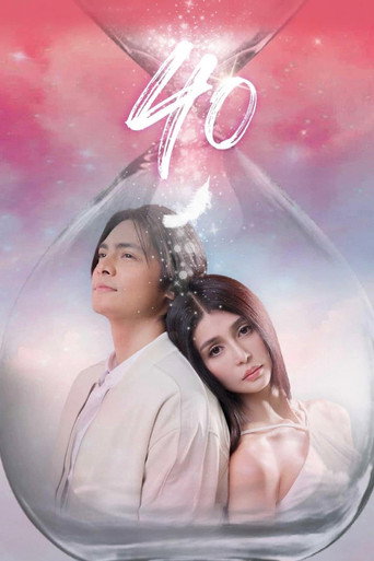 40 movie poster