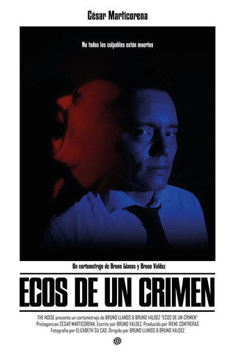 Echoes Of A Crime movie poster