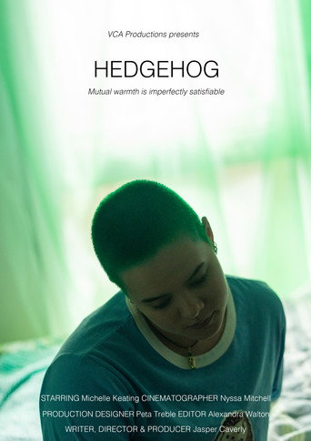 Hedgehog movie poster