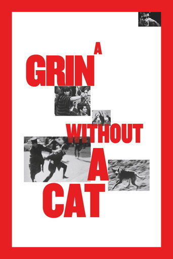 A Grin Without a Cat movie poster