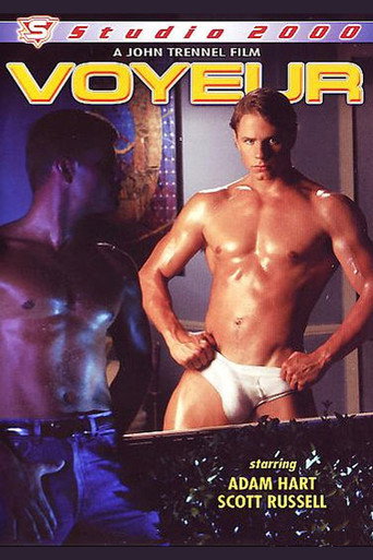 Voyeur movie poster