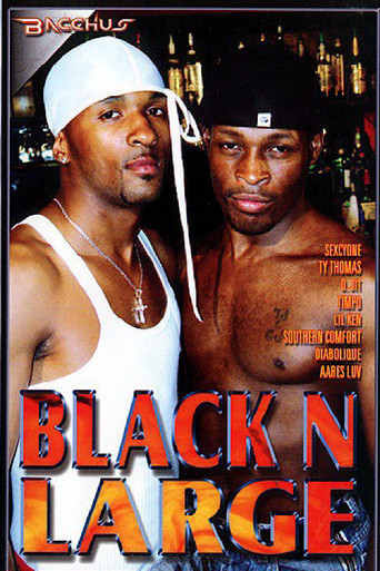 Black n Large movie poster