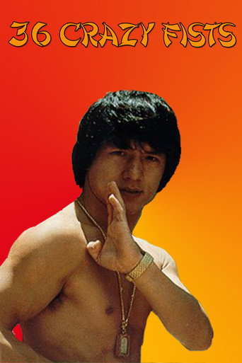 The 36 Crazy Fists movie poster