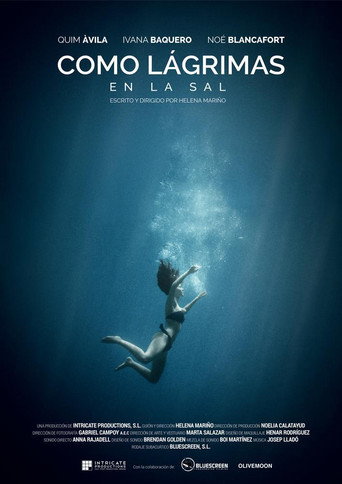 Como lagrimas en la sal movie poster