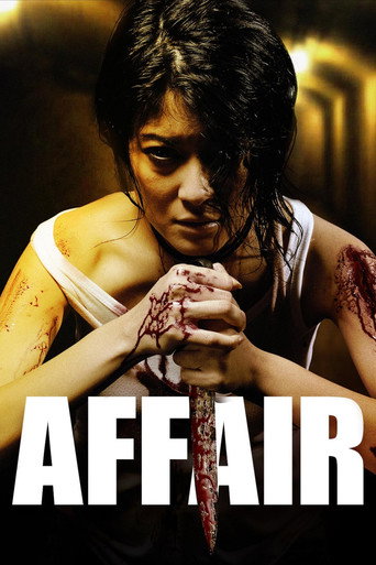 Affair movie poster