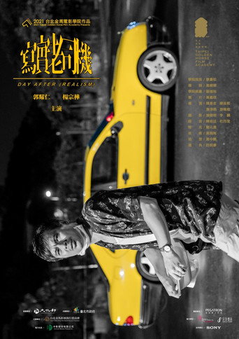 Day After (Realism) movie poster