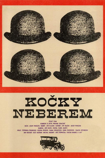 Kočky neberem movie poster