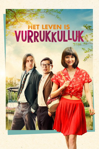 Life Is Wonderful movie poster