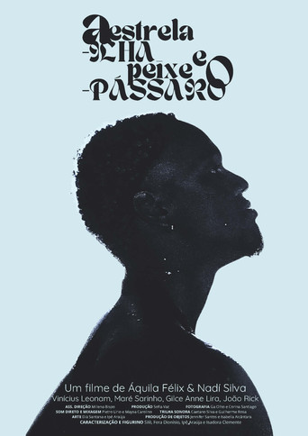 A Estrela-ilha e o Peixe-pássaro movie poster