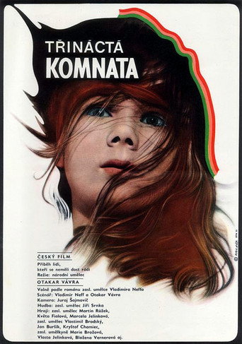 The Thirteenth Chamber movie poster