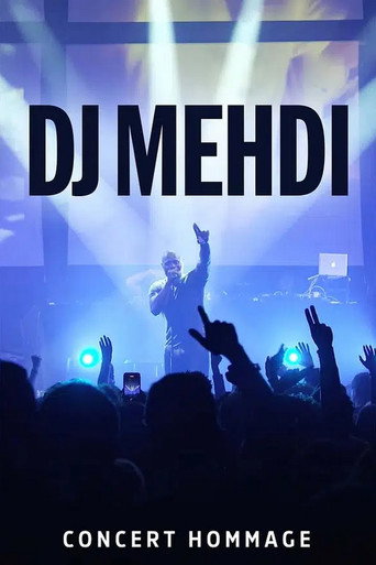 Concert hommage à DJ Mehdi à la Gaîté Lyrique movie poster