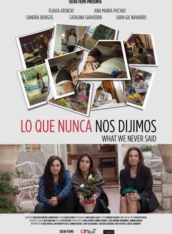 What We Never Said movie poster