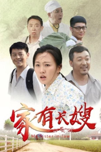 家有长嫂 movie poster