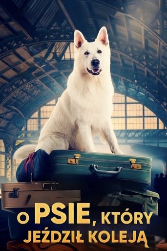 Lampo, the Travelling Dog movie poster