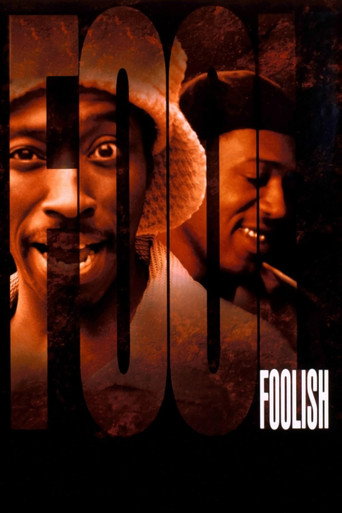 Foolish movie poster