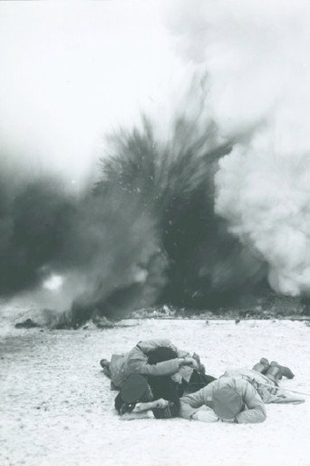 In Defense of the Nation movie poster