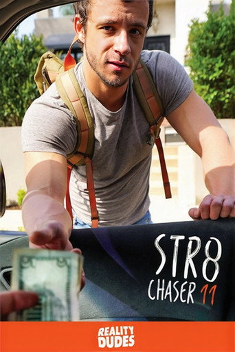 Str8 Chaser 11 movie poster