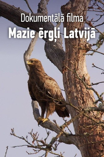 Mazie ērgļi Latvijā movie poster
