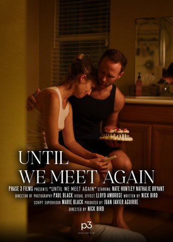 Until We Meet Again movie poster