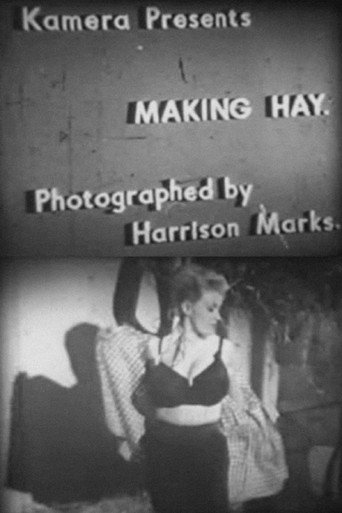 Making Hay movie poster