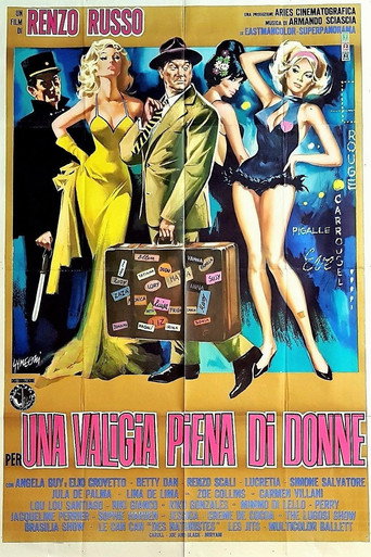 Per una valigia piena di donne movie poster