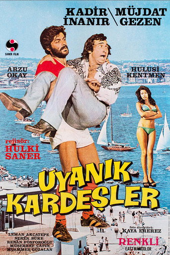 The Cunning Brothers movie poster