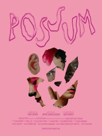 POSSUM movie poster