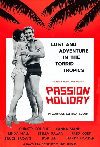 Passion Holiday movie poster
