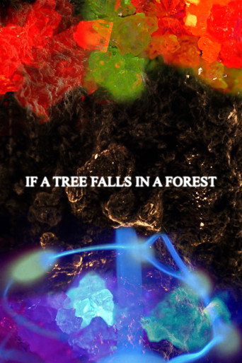 If a Tree Falls in a Forest movie poster