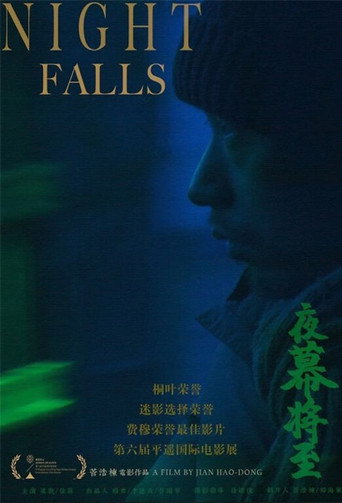Night Falls movie poster