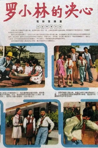 罗小林的决心 movie poster