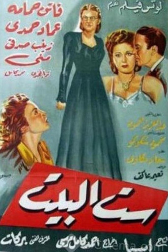 The Lady of the House movie poster