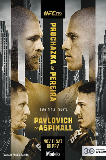 UFC 295: Prochazka vs. Pereira movie poster