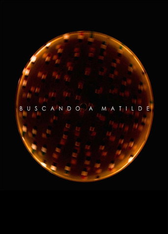 Looking for Matilde movie poster