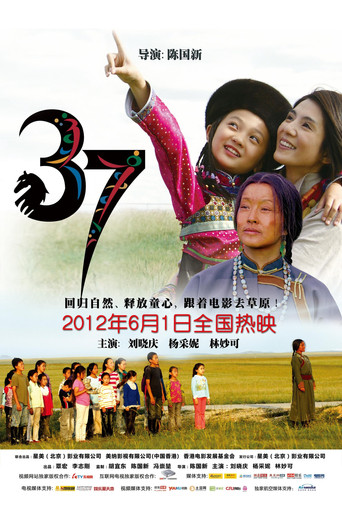 37 movie poster