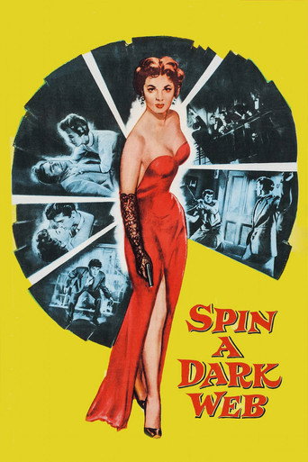 Spin a Dark Web movie poster